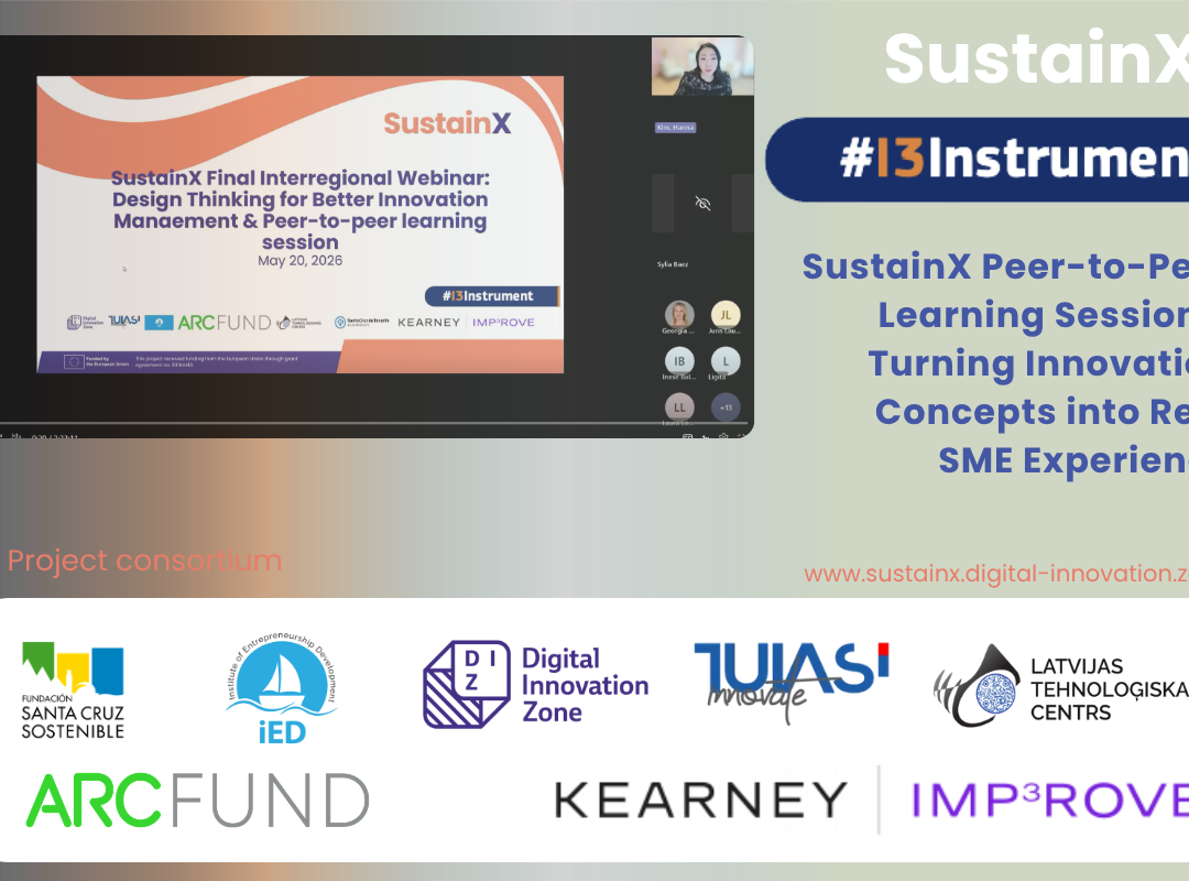 SustainX Peer-to-Peer Learning Sessions: Turning Innovation Concepts into Real SME Experience